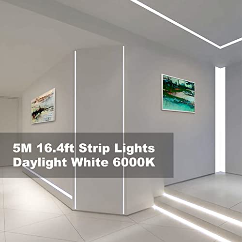 Kopmhye 5M Dimmable Led Strip Lights Kits, 12V Tape Light, 300 2835 Led, 16.4Ft 6000K Daylight White Ribbon With Power Adapter, Light Strips For Under Bed, Vanity Mirror, Cabinet, Non-Waterproof #TOP1