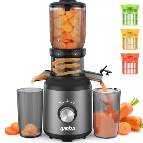 Ganiza Juicer Machines, Cold Press Juicer with Large Feed Chute for Whole Fruits & Vegetables, Slow Masticating juicers with 3 Replace Filters for Batch Juicing, Easy to Clean, BPA Free (Whi