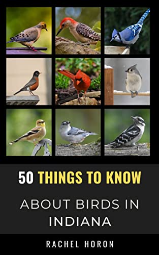 50 Things to Know About Birds in Indiana : Birds in the Crossroads of America (50 Things to Know About Birds & Birdwatching: Birdwatching guides, bird identification tips, and regional bird books)