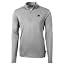 Carolina Panthers, Gray