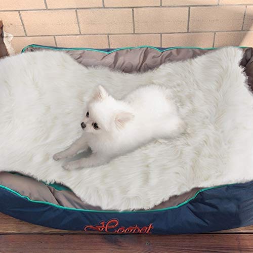 Soft Faux Fur Pet Bed Mat Plush And Fluffy Pet Pad Ultra Cozy Pet Throw Rug For Dogs Cats By Asrug, White, 24 By 36 Inches #TOP1