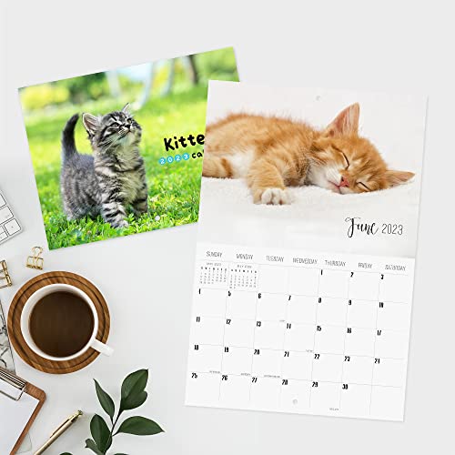 Yasest Cute Kittens Wall Calendar 2023 Monthly | 11" X 16.5" Open | Magnetic Calendar For Fridge | 12 Months Funny Cat Calendar 2023 | Home & Office Organizer #TOP6