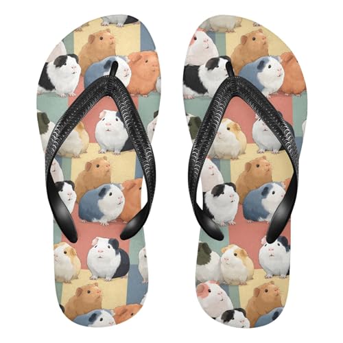 Flip Flop Sandals Guinea Pig Colored Print for Women Men Beach Outdoor XS