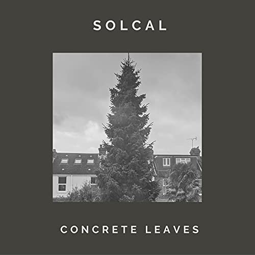 Concrete Leaves