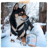 MjAMjAM - Premium Nassfutter für Hunde - saftiges Huhn mit zarter Ente an Möhrchen und gekochter Hirse, 6er Pack (6 x 800 g), getreidefrei mit extra viel Fleisch