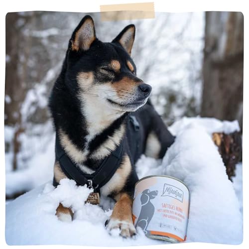 MjAMjAM - Premium Nassfutter für Hunde - saftiges Huhn mit zarter Ente an Möhrchen und gekochter Hirse, 6er Pack (6 x 800 g), naturbelassen mit extra viel Fleisch