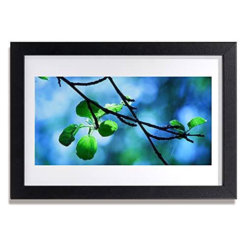 Affiche avec cadre branche et plante pour créer un cocon nature dans votre salon