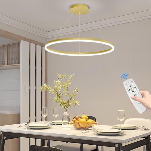 Mikeru Modern Ring Chandelier Light, LED Pendant Light Fixtures with Remote Control 3000k-6500K...