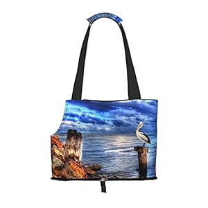 Pelican Birds Blue Sea Sky Cat Carrier, Hondendrager, Draagbare Tas Carrier Voor Kleine tot Middelgrote Kat En Kleine Hond
