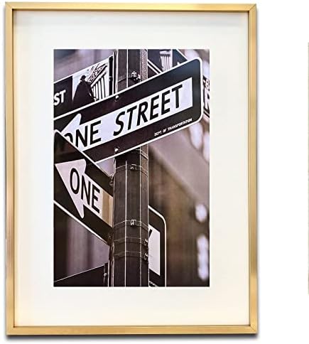 TheDisplayGuys - Contemporary Aluminum Picture Frame - Tempered Glass - 18x24 matted to 12x18 - Gold - Wall Hanging