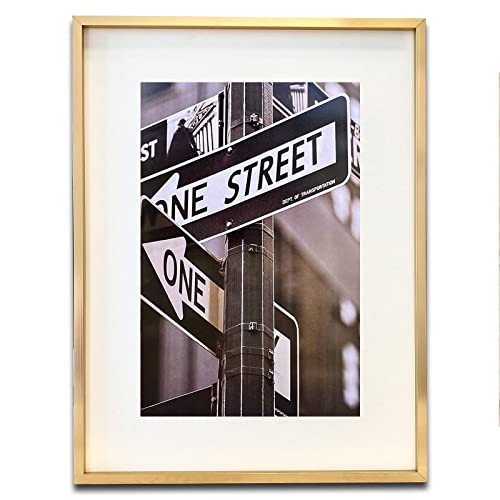 Thedisplayguys - Contemporary Aluminum Picture Frame - Tempered Glass - 18X24 Matted To 12X18 - Gold - Wall Hanging #TOP6