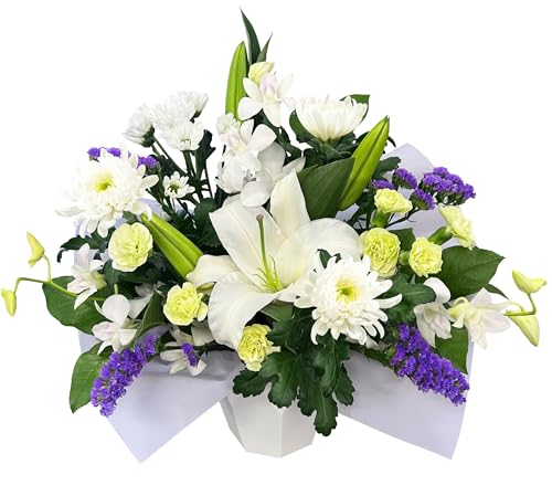 Ԃ̃Mtg      AW  ފ ~  