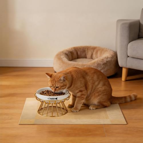 Gamelle surélevée en métal au design ergonomique pour chat