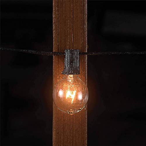 Beams 1W G40 Globe Bulb Led Weatherproof Indoor/Outdoor String Lights, 25 Ft, Black #TOP5