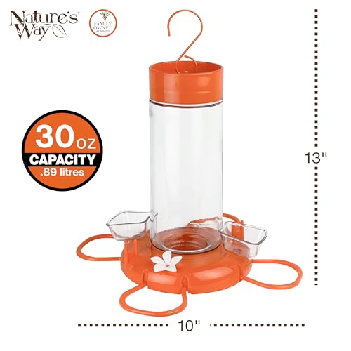 Nature's Way Hanging Glass Oriole Feeder for Outdoor Décor, 30 Ounce Capacity Nectar Feeder, Jelly Dishes, Orange Fruit Holders, 4 Eash to Clean Flexible Ports, Ant Moat, Bee Guards, Orange by Nature's Way - Image 2