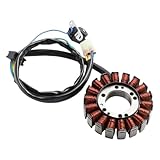 Stator Alternator AEO-3112039A-000 Compatible With Aeon 220 300 320 Crosland 300