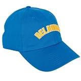 Desert Cactus University of Delaware Embroidered Baseball Hat (D) Blue
