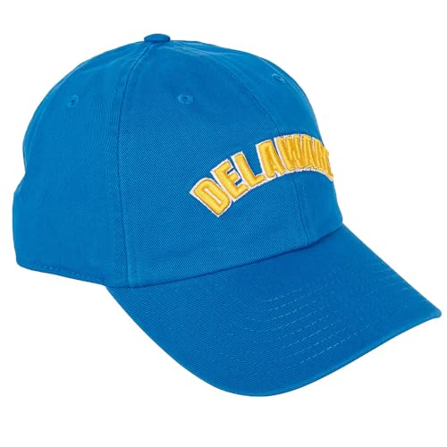 Desert Cactus University of Delaware Baseball Hat Fightin Blue Hens UD Brimmed Embroidered Hats Cap Adjustable Cloth Strap Adult (Style D)