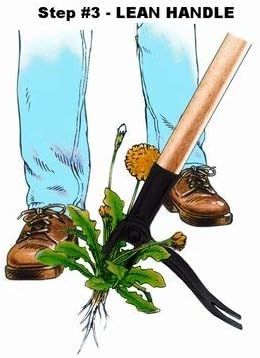 Grampa's Weeder - The Original Stand Up Weed Puller Tool With Long Handle - Made With Real Bamboo & 4-Claw Steel Head Design - Easily Remove Weeds Without Bending, Pulling, or Kneeling