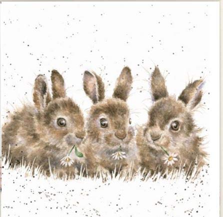 Wrendale Rabbit Print On Square Canvas 20 Centimetre Daisy Chain White