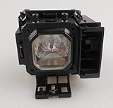 Type de lampe : ampoule de rechange pour projecteur avec boîtier.