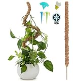 Tuteur parfait pour les monsteras et les plantes grimpantes : notre bâton de mousse est le support idéal pour votre oasis de verdure. Spécialement conçu comme monstera, il offre un maintien optimal pour les plantes telles que les monstera, le lierre, le philodendron et d'autres plantes grimpantes. En tant que plantes d'intérieur naturelles, il favorise une croissance saine et imite l'habitat naturel en offrant aux plantes une structure d'escalade sûre.