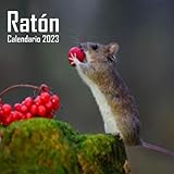  Ratón calendario 2023: regalo divertido de la broma de la mordaza del amante de los animales para los amantes del ratón, mujeres, hombres, hombres, ... amantes, cumpleaños, White Elephant Party,