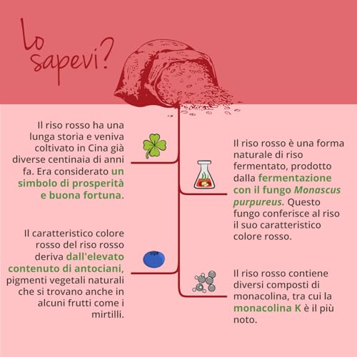 Riso Rosso Fermentato | 2,9 Mg Di Monacolina K | Con Coenzima Q10, Bergamotto E Carciofo | Salute Cardiovascolare E Controllo Dei Lipidi | Vegan | No Ogm | Vegavero® - 6