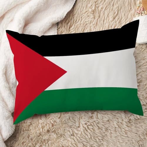 20x30 Rectangular Cushion