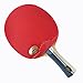 Palio Legend 2.0 Table Tennis Racket & Case | ITTF-Approved Advanced Ping Pong Paddle | Maximum Power, Speed & Spin