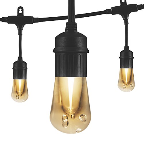Enbrighten Vintage Led Café Lights With Stainless Steel Lens Shade, Outdoor String Lights, Black, 24Ft, 12 Impact Resistant Lifetime Bulbs, Premium, Shatterproof, Weatherproof, Indoor/Outdoor, 43374 #TOP2