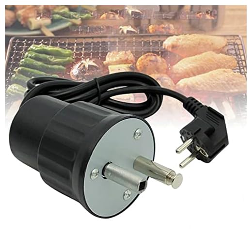 SHZICMY Elektrisk grillmotor 220 V 4 W elektrisk grillspettmotor roterande motor grilldrift grill BBQ gasgrill grillspett trädgårdsgrill rotisserie EU-kontakt