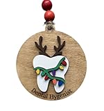 Dental Hygenist Christmas Tree Ornament | Holiday Present For Dental Team | Appreciation for RDH | Dental Hygenist Graduation Gift | Tooth Ornament