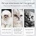 Tear Stain Remover for Dogs,Soothing Kitten Eye Cleaner 30g | Gentle Dogs Tear Stain Remover for Bathing Grooming Veterinary Home Indoors Outdoors Camping