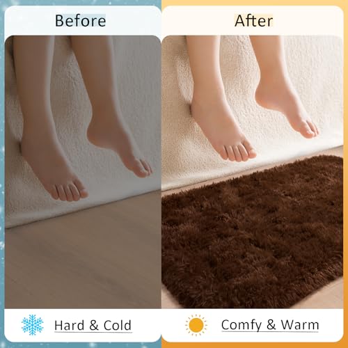 HOMORE Small Rugs for Bedroom 2x3 Feet Brown Rug for Bedroom Bedside Soft Fluffy Area Rugs for Desk Indoor Entrance Door Mat, Small Runner Rugs and Carpets for Dorm Nursery