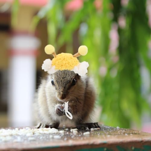 BRIGHTFUFU Cute Comfortable Polyester Material with Versatile Fit Yellow Mini Pet Hat for New Year Festive Celebrations for Hamsters and Parrots and Small Animals - 5