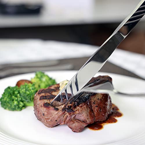 Silverware Set, Evolution Todayshome 20 Piece Stainless Steel Flatware, Service For 4 Cutlery Set Utensils, For Home Kitchen Restaurant, Include Knives Spoons Forks, Mirror Polished, Dishwasher Safe #TOP5
