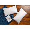 JA COMFORTS 1220 Premium Goose Down Feather Throw Pillow InsertsSet of 2 5 Down FillingHigh Filling Weight250 TC Cotton Cover Square White