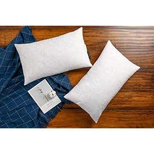 JA COMFORTS 12×20 Premium Goose Down Feather Throw Pillow Inserts(Set of 2)-5% Down Filling,High Filling Weight,250 TC Cotton Cover, Square, White JA COMFORTS 1220 Premium Goose Down Feather Throw Pillow InsertsSet of 2 5 Down FillingHigh Filling Weight250 TC Cotton Cover Square White