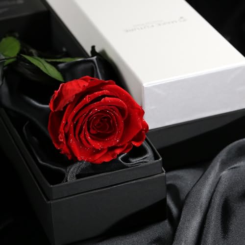 Makefuture Diamond Rose プリザーブドフラワー 花 バラ 化粧箱入り 1輪 (ブライトレッド, オプションなし) [2]