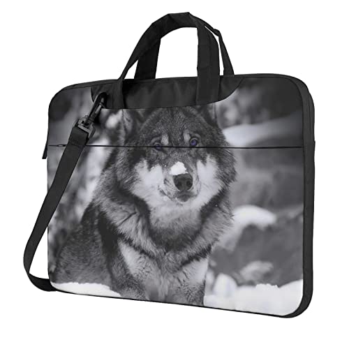 13/14/15/15.6C` m[gp\RP[X Ռz PCP[X p\RobO rWlXu[tP[X V_[obO bvgbv یP[X 񂰃Jo p\R΂ t @\ ʋ ʊw A o s jpi