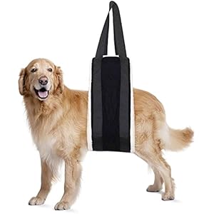 20-150lb Dog Sling for Large Dogs, Hind Leg Support, Hevy Duty Portable Dog Lift Harness, Black, Large