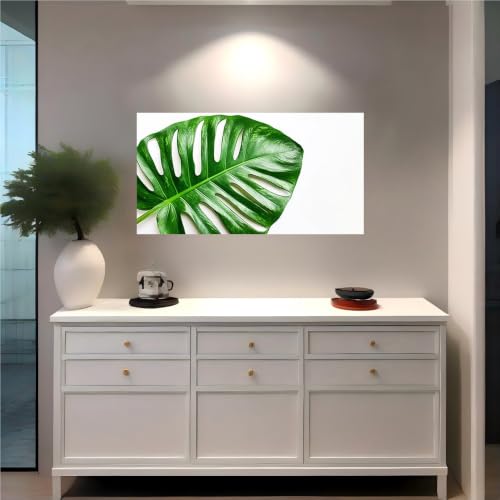 Vinilo autoadhesivo monstera resistente de gran tamaño 120l x 80an cm 3