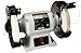 POWERTEC BGSS801 Slow Speed Bench Grinder, 8"