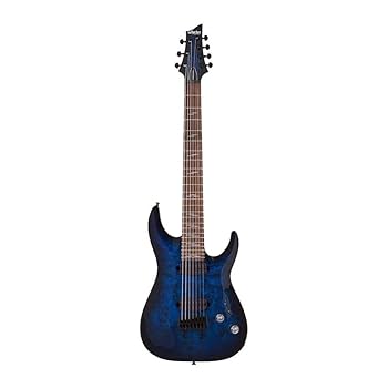Amazon.com: Schecter Omen Elite-7 Electric Guitar - See Thru
