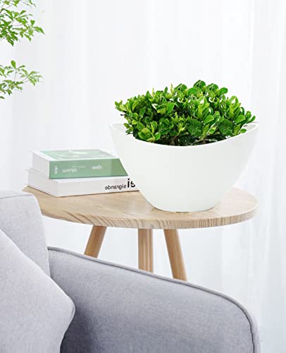 Ladovita Plant Pots With Drainage Holes, 12 Inch Large Planters For Indoor Plants, Plastic Flower Pots Outdoor, 2 Pack, White #TOP5