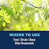 BioAdvanced Tree and Shrub Insect Killer, Ready-to-Use, 32Oz