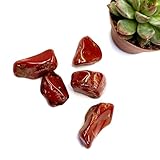 8 PZ901 Landscaping Pebbles Red Jasper Rich Brick Red and Terracotta Colored Stone for Adding Warm Earthy Accents to Miniature Plant Landscaping