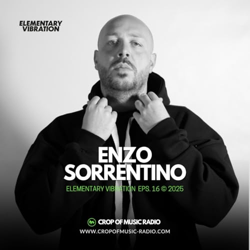 Elementary Vibrations 016 - Enzo Sorrentino