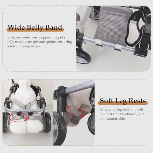 Fauteuil roulant pour chien à assistance complète : offrez-lui une seconde vie active